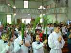 DOMINGO DE RAMOS 2024 DOMINGO DE RAMOS 2024