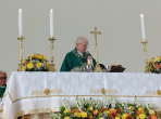 NOSSA SENHORA DE LOURDES NOSSA SENHORA DE LOURDES