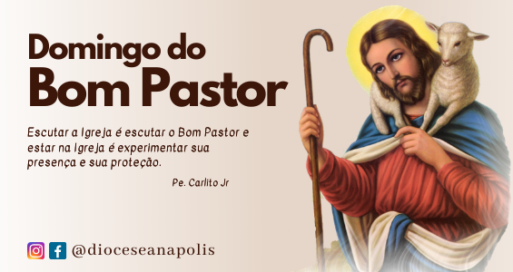 Reflexão 4º Domingo da Páscoa: o Bom Pastor – Diocese de Anápolis
